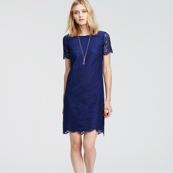 Ann Taylor | Dresses | Ann Taylor Blue Floral Lace Mosaic Shift Dress